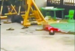 廉江横山今日新闻爆料,神秘事件引发热议，真相即将揭晓